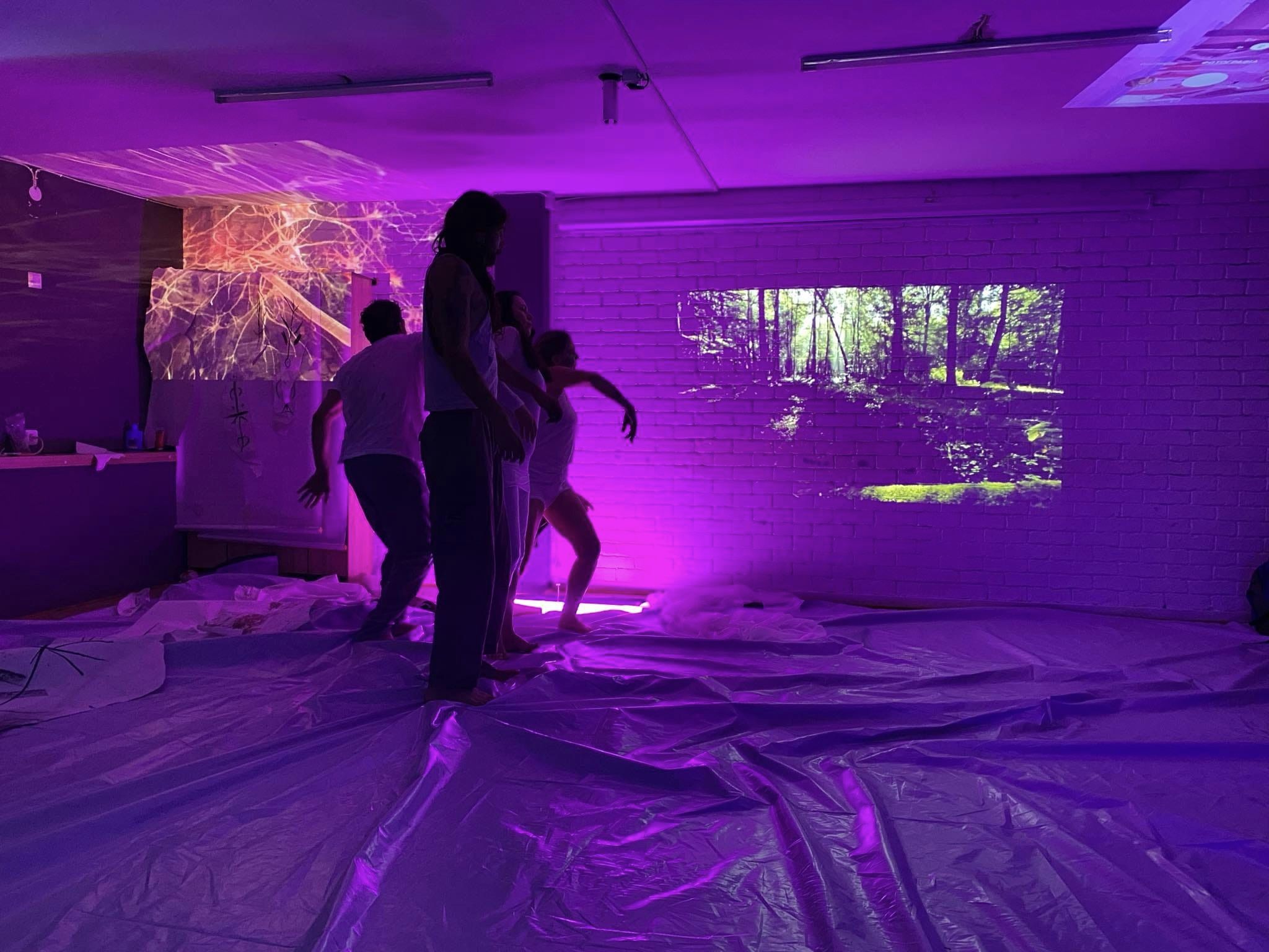 Polarities 01: Violet Performance draft2